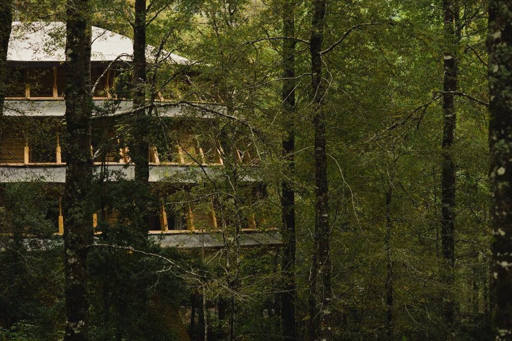 Villa Huilo Huilo Reino Fungi Puerto Fuy Exterior foto