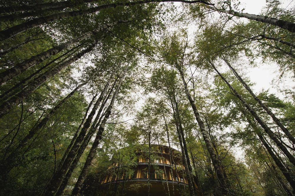 Villa Huilo Huilo Reino Fungi Puerto Fuy Exterior foto