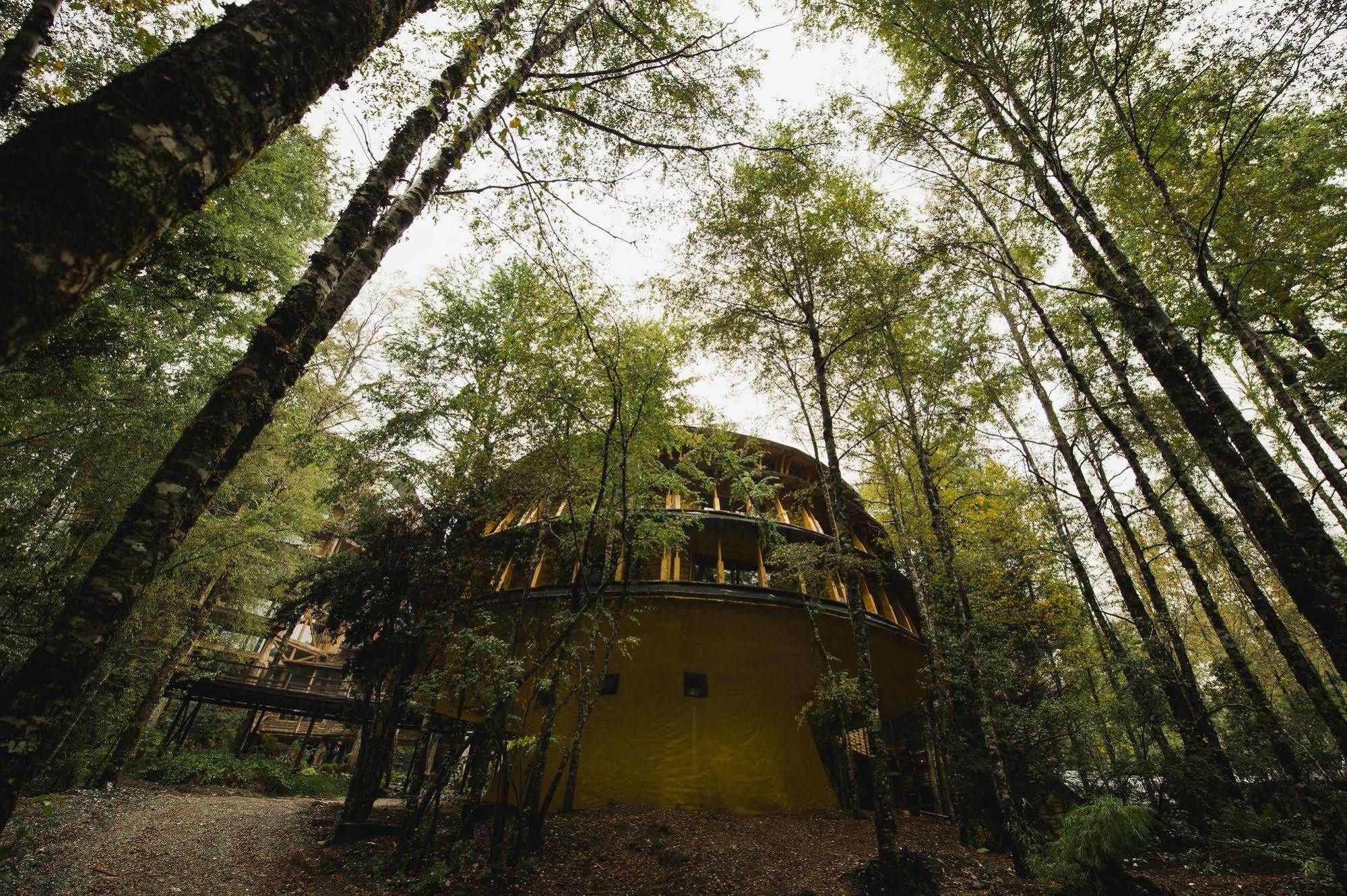 Villa Huilo Huilo Reino Fungi Puerto Fuy Exterior foto
